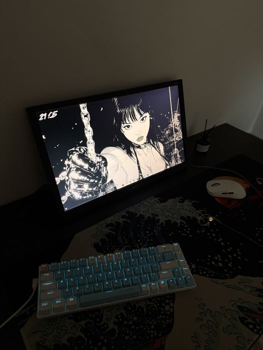 Монитор Acer V203HV