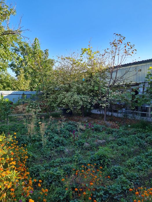 Жилой дом  продам.