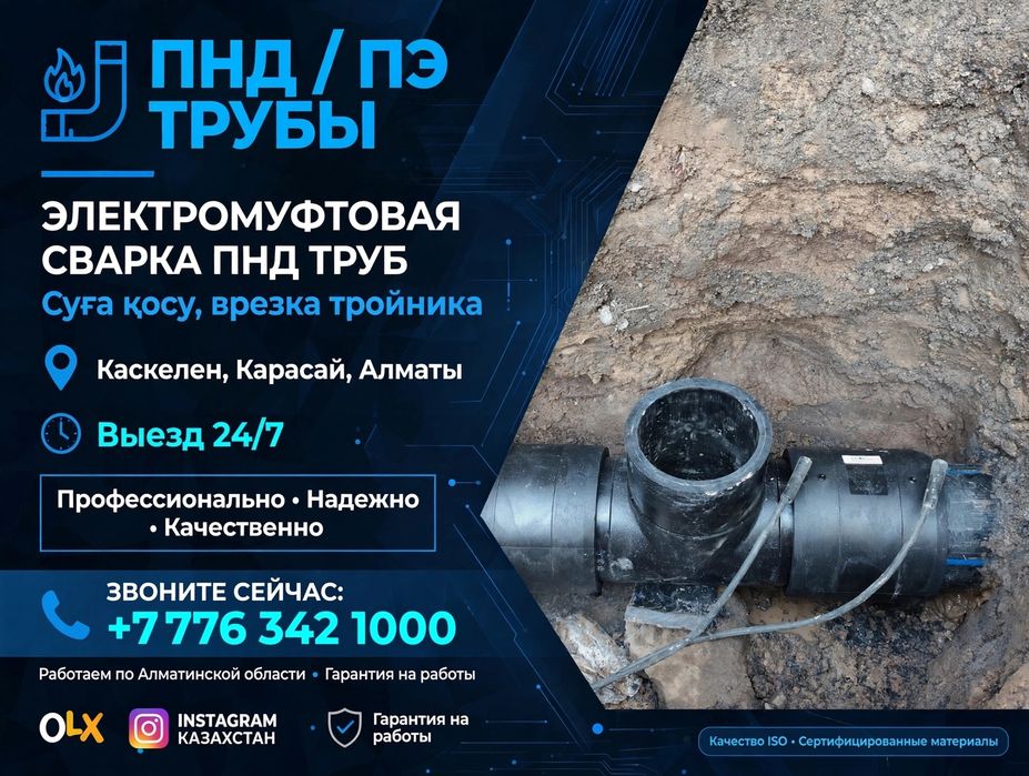 Вреска тройника как фота