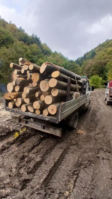 Combustibil Foc Fag ! Lemn de foc adus la domiciliu ,tot județul Hunedoara!