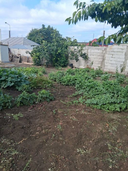 Vand casa batraneasca cu teren, Filesti, Galati