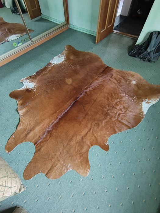 Продам Шкуру лося