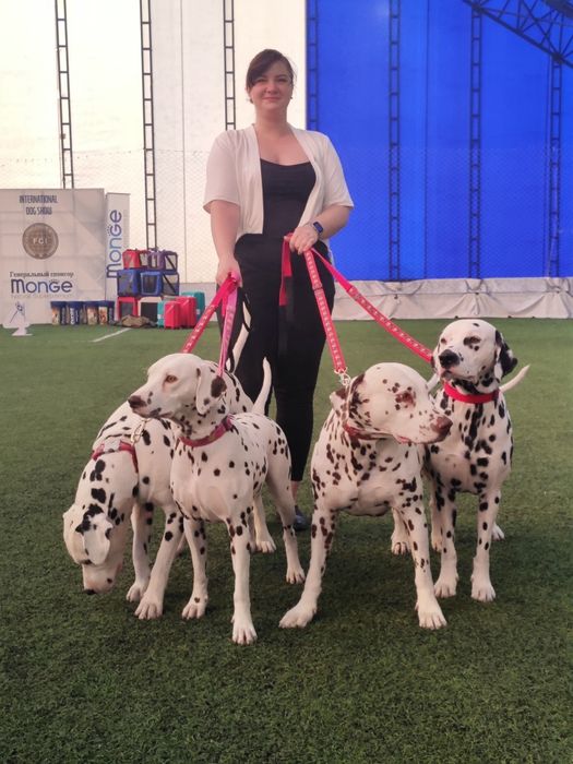 Кинолог, зоопсихолог