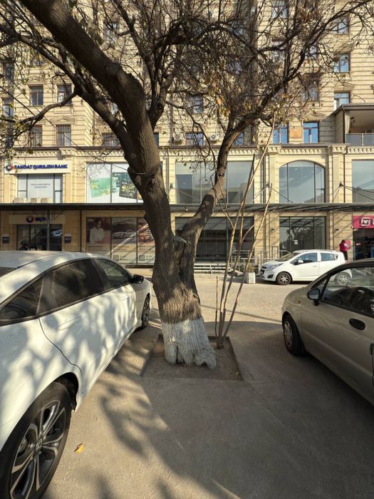 Аренда помещения Первая линия 135м2 Перекресток Циолклвская-Паркенский