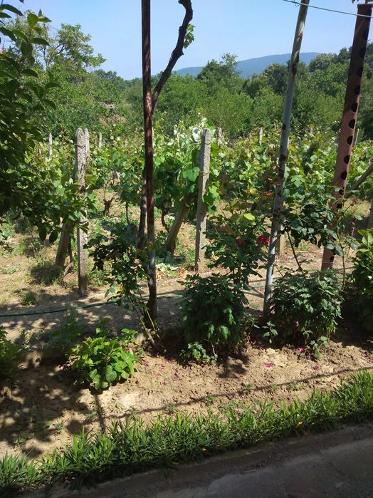 Продава се Къща в Царево - 100 кв.м за 880 €/кв.м - Снимка #4