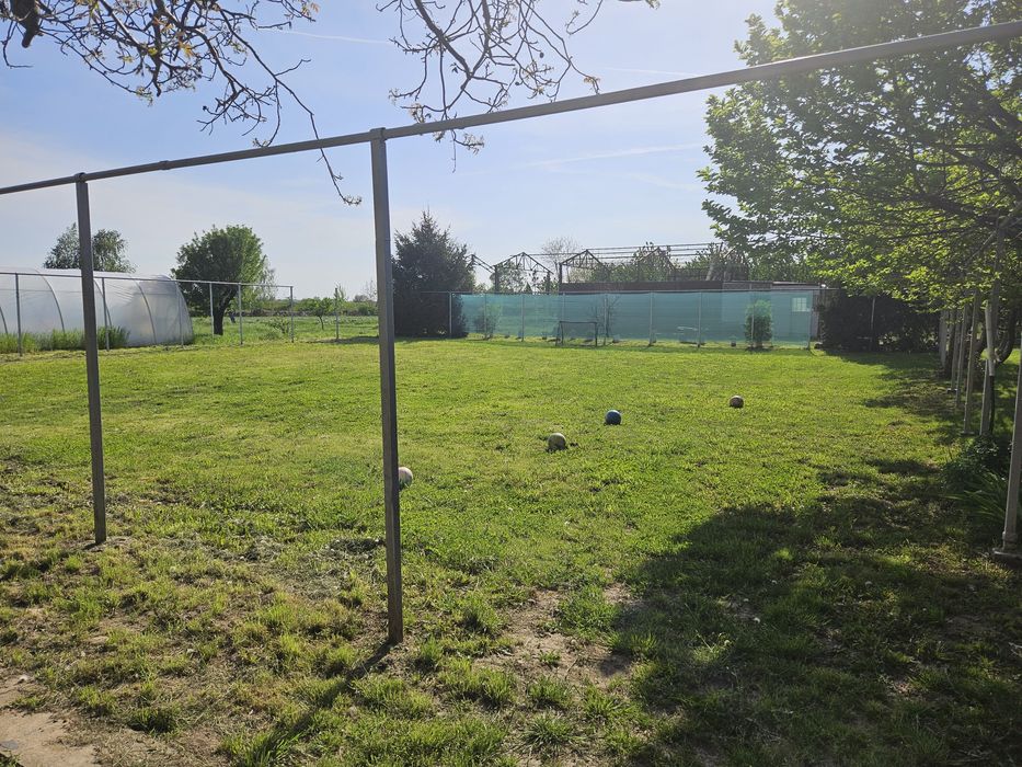 Inchiriez spatiu pentru petreceri copii în aer liber