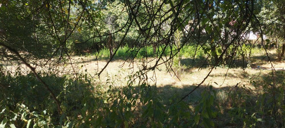 Продава се Парцел в Перник, Църква - 1440 кв.м за 46 €/кв.м - Снимка #5