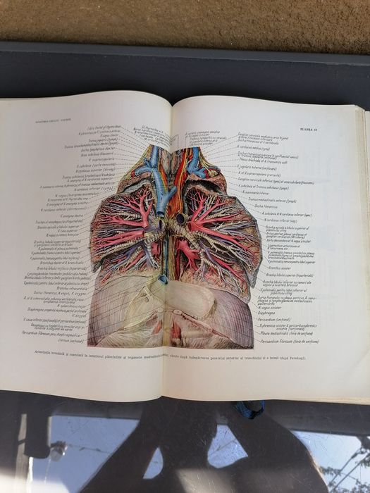 Carti medicina, Biblie sfânta , tablouri