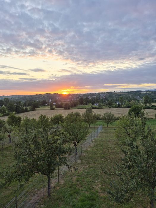Casă de vânzare Dumbravita
