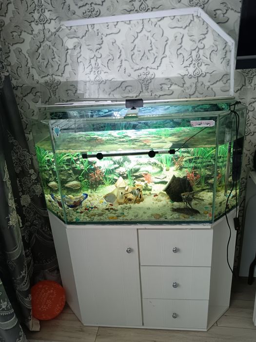 Аквариум 150-200 литров