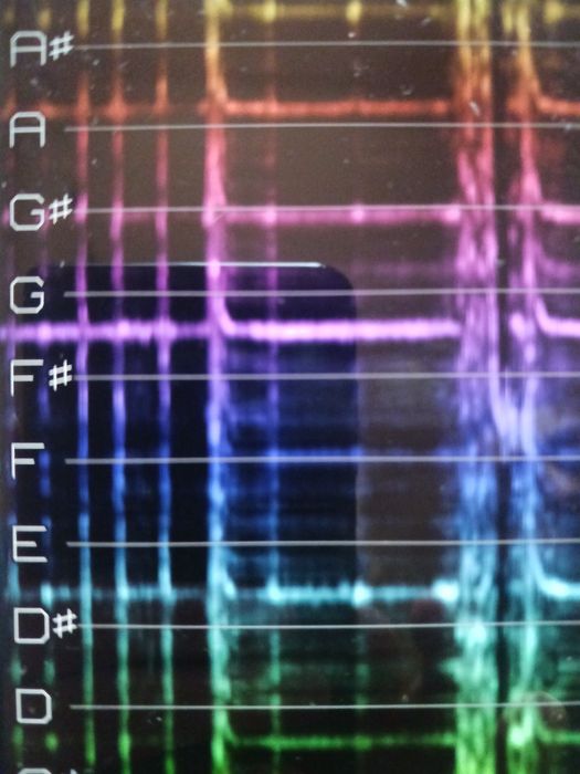 Dramba shamanica foarte mare, sunet bass