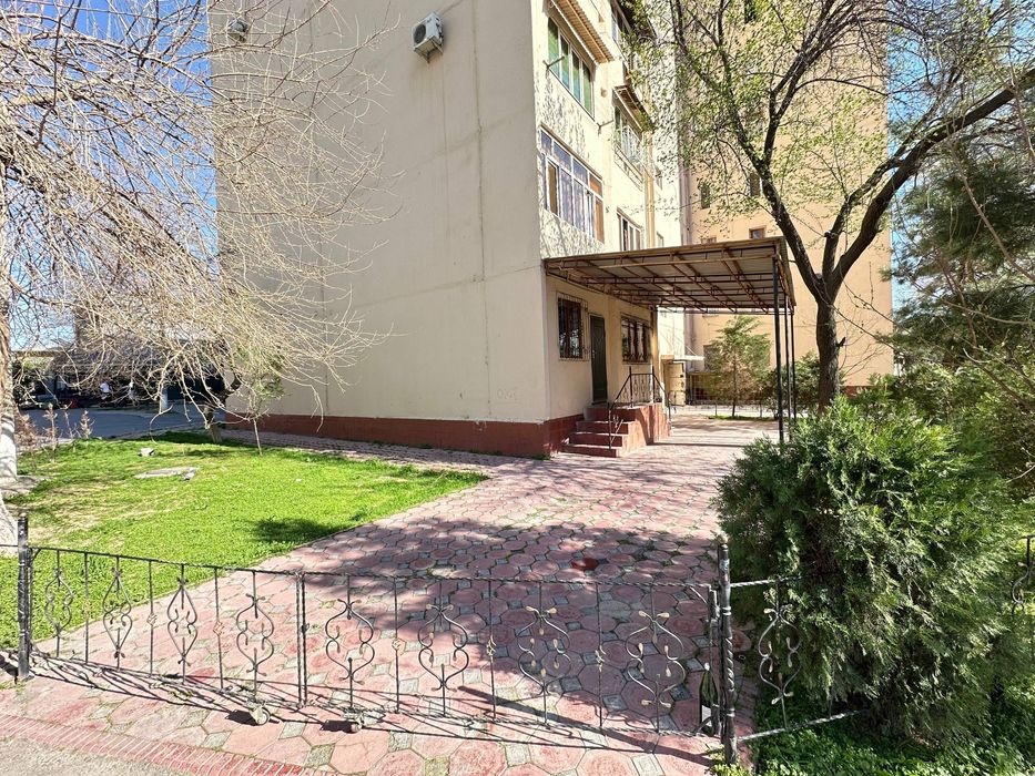 Своя без маклерских! Ибн Сино 1