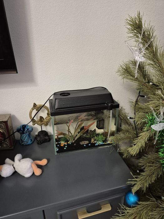 Аквариум на 15литров