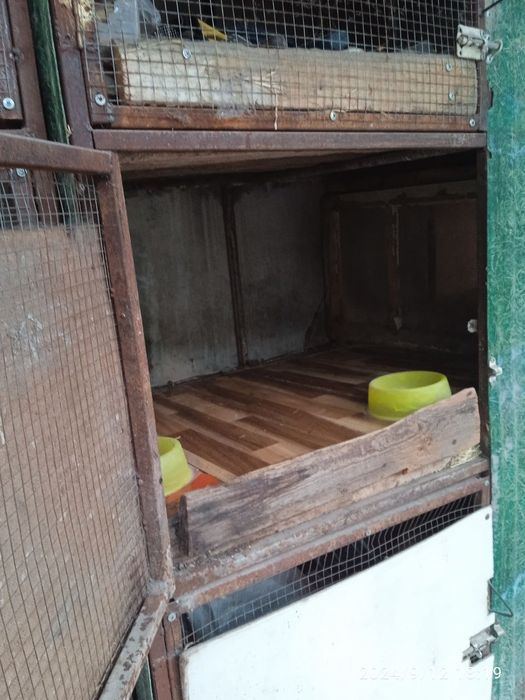 Куйон. Товук бокиш учун кафас сотилади