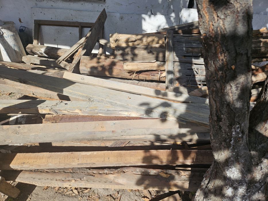 Дрова много, пеньки