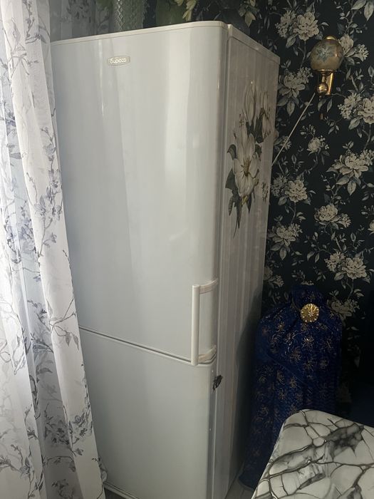 Холодильник бирюса