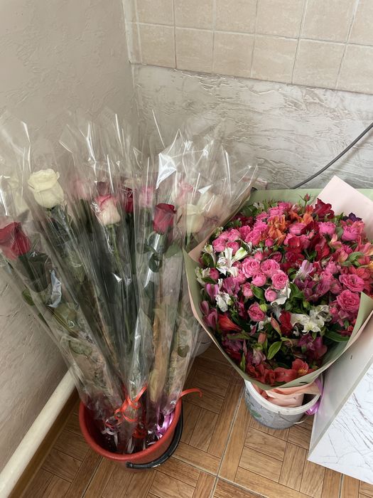 Продам цветы свежие