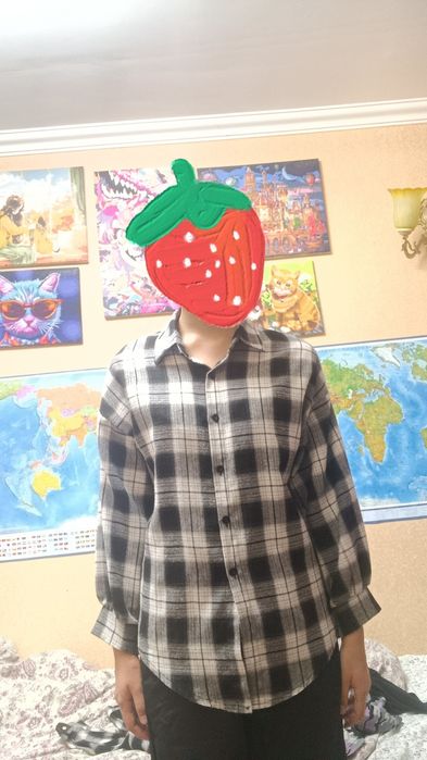 Две клетчатые рубашки