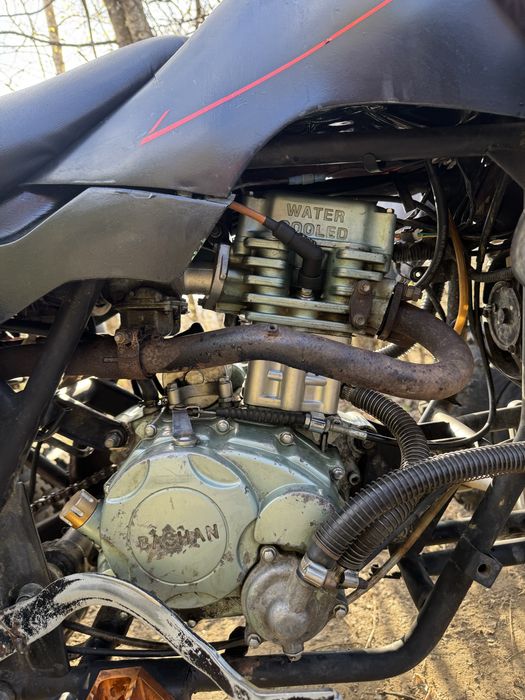 Vand atv Bashan  alaska 250