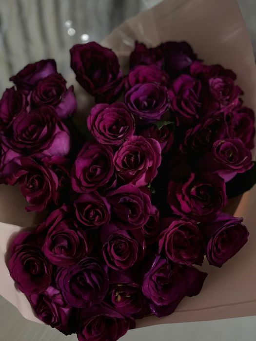 Розы метровые свежие
