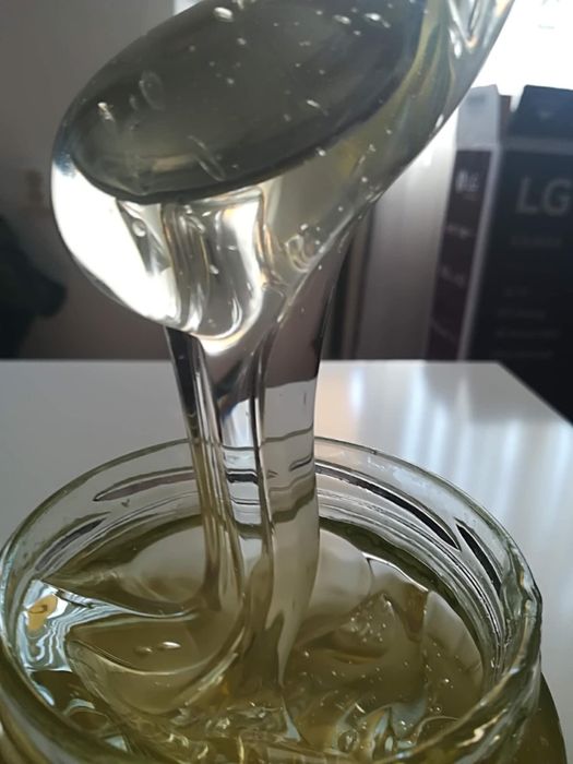 Miere de Salcam , producție 2024