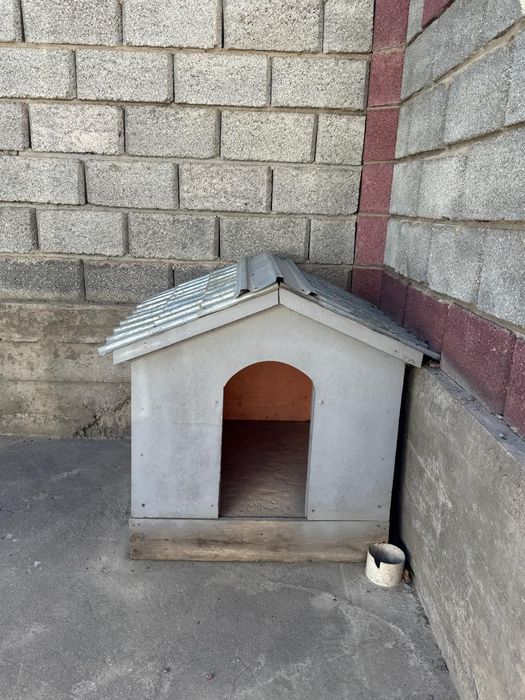 Итің үйі 6 мың тг