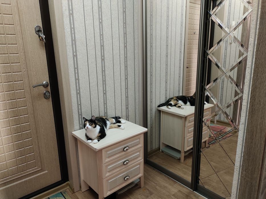 Продам 1-ком. квартиру (район ТД Айсберг)