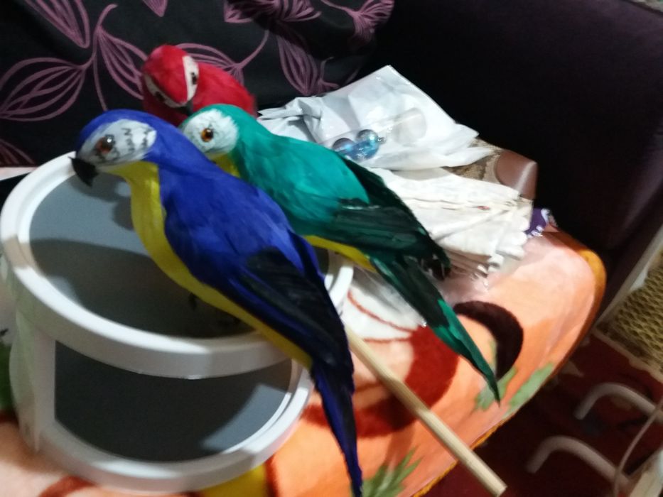 vand 3 papagali artificiali cu pene naturale