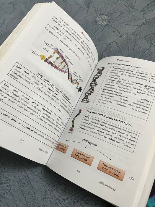 GLUCOSE кітабі и нұсқа талдау кітабы