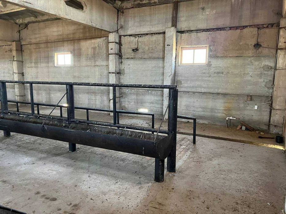 Животноводческая ферма (17.2 га) қорамол фермаси (17.2 ga)