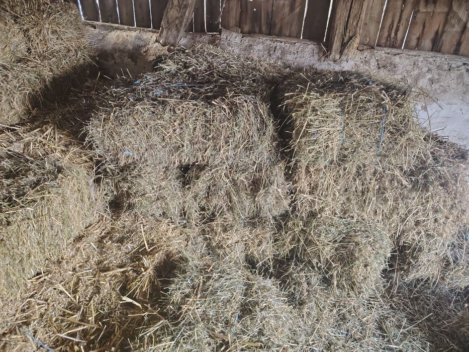 Vând baloți de fan