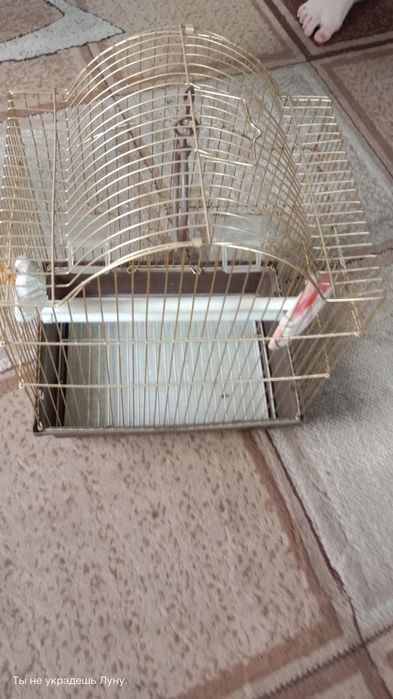 Продам клетку не дорого