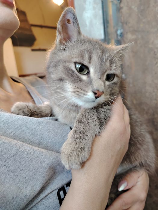 Девочка 6 месяцев стирильная