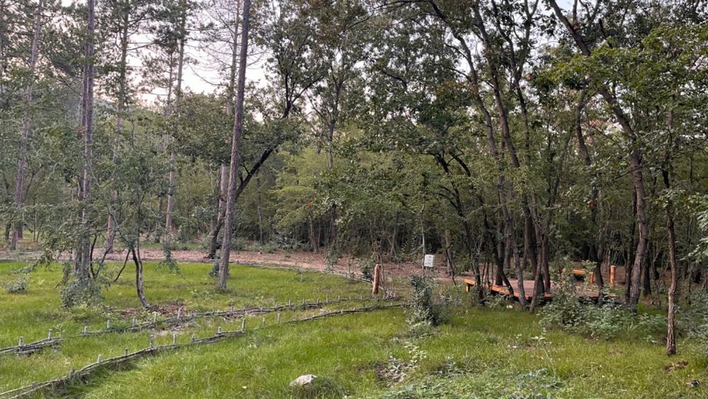 Барбекю в горски парк Белвю