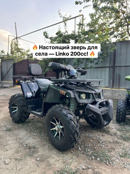 Квадроцикл 200 TAO MOTOR