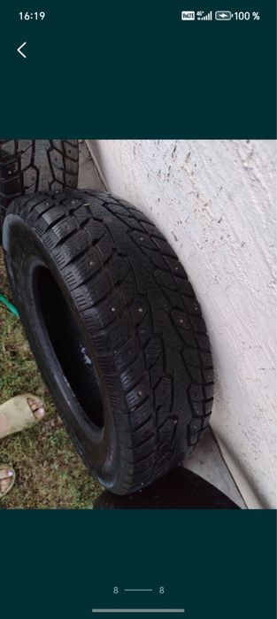 Шины зипние с нипами