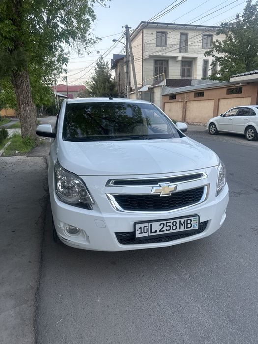 Kobolt 2022 4 chi pozitsiya