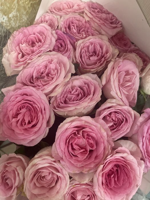 Красивые букеты