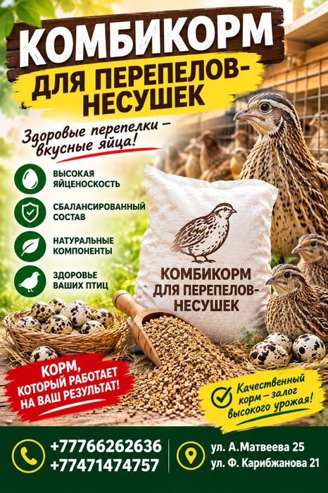Комбикорм для перепелов