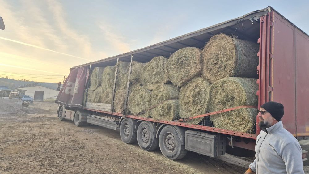 Baloti fan.Drept.min.500.Rotunzi lucerna min.40.Transport inclus>RO