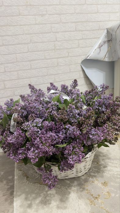 Продаю за 50тыс………………..