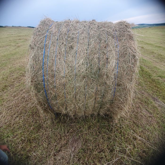 Vând(150- 200)de baloți rotunzi de fân si otava!