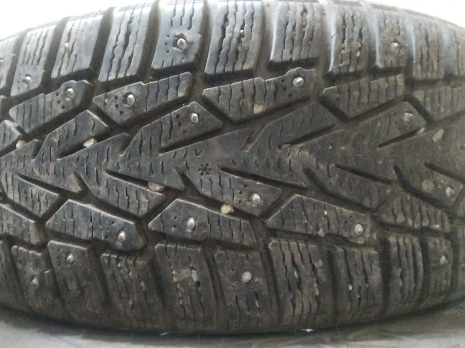 Шины зимние Nokian