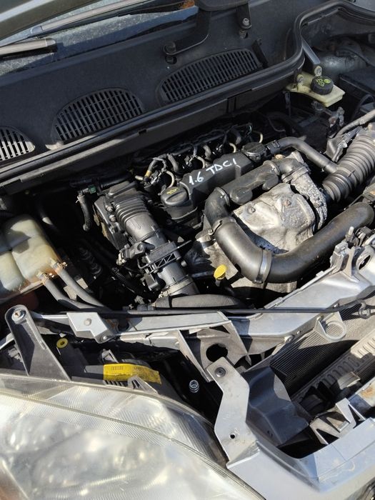 Haion,bara spate ford c max