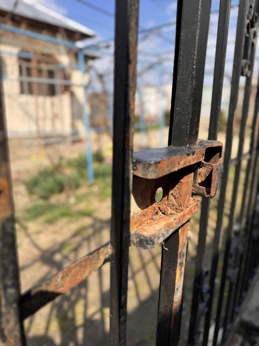 Vând set complet de porți metalice din fier (model decorativ)