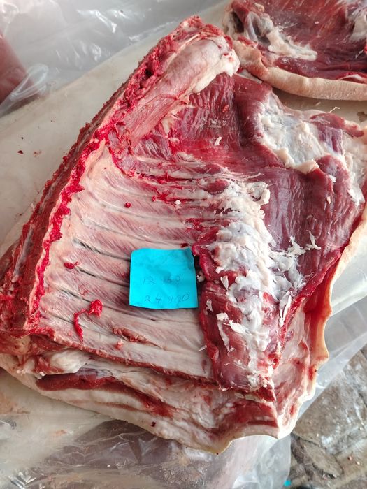 Свежее мясо свинины