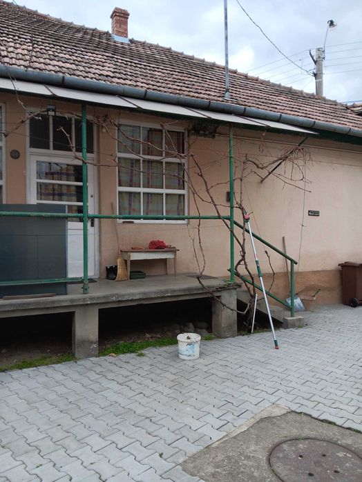 Casă de vănzare cu livada de pomi fructiferi!