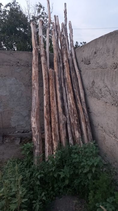 Тополь бревна...