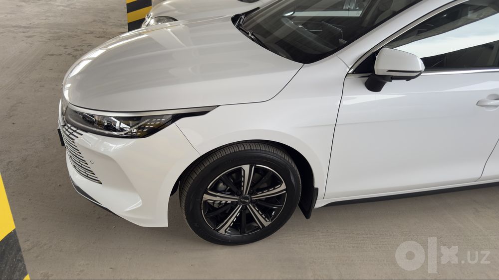 BYD chazor 2026