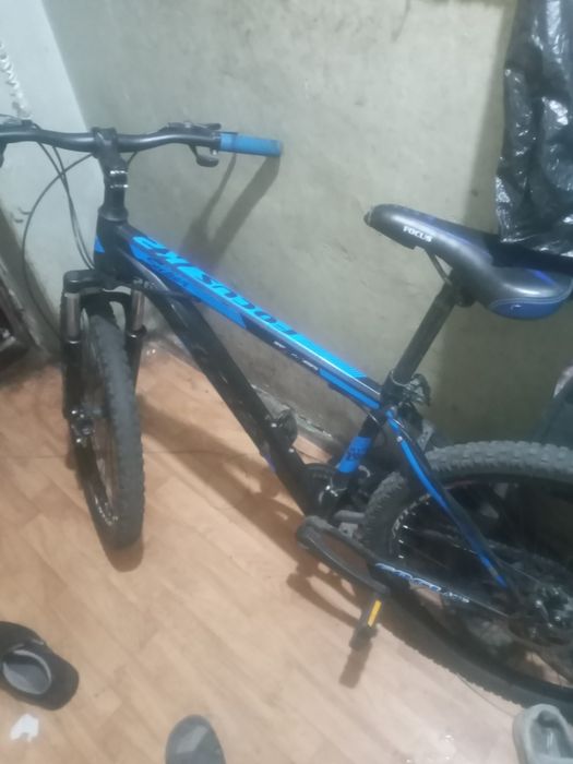 Велик focus срочноо